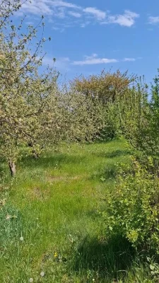 Продам земельну ділянку