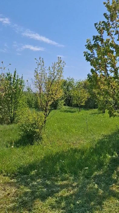 Продам земельну ділянку