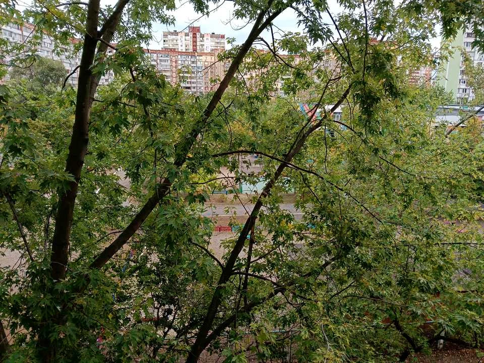Квартира. Київ, Червоної Калини просп. (Володимира Маяковськ