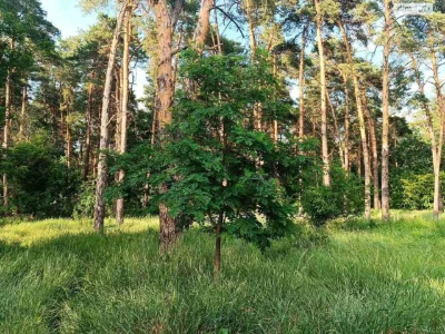 Продаж Квартира Харківський Масив