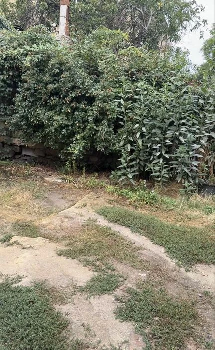 Центр. Модованка ділянка під будіництво будинку  , медичного
