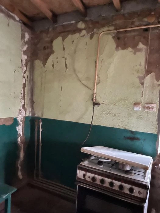 Продам будинок з житловим флігелем !