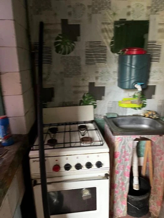 Продам будинок з житловим флігелем !