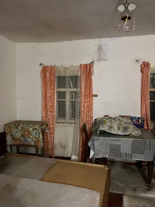 Продам будинок з житловим флігелем !