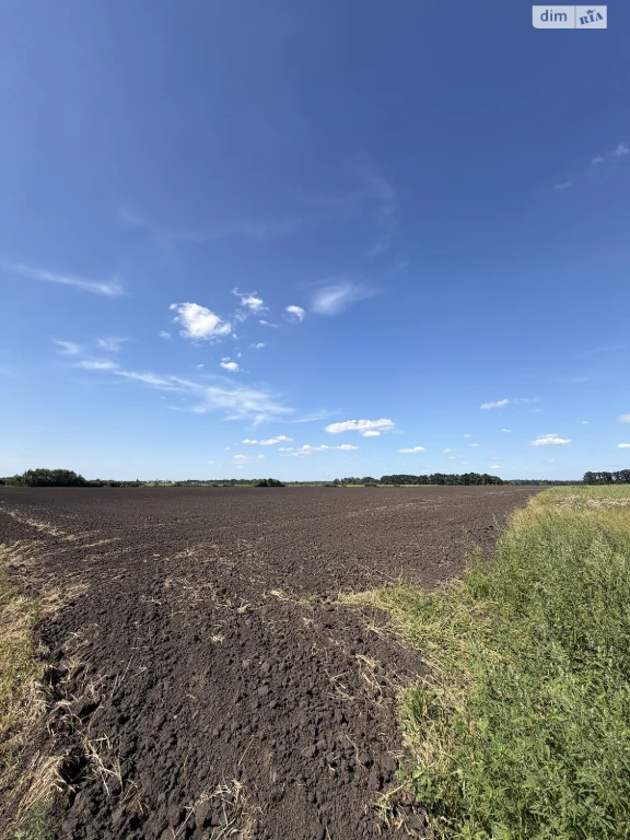 Продаж Земля сільськогосподарського призначення