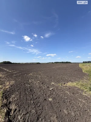 Продажа Земля сельскохозяйственного назначения