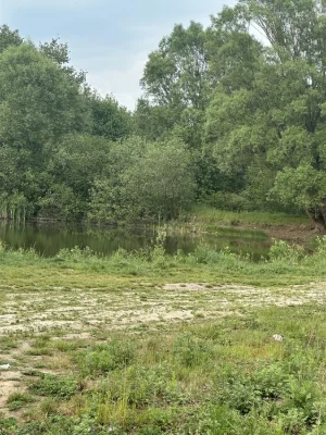 Продаж ділянки в Брюховичах