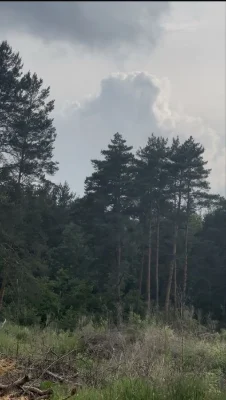 Продаж ділянки в Брюховичах