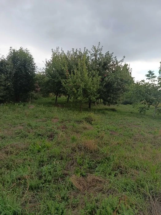 Будинок з землею