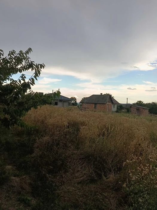Будинок з землею