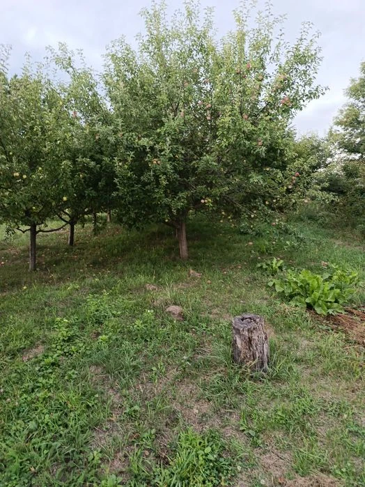 Будинок з землею