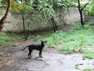Продаж Квартира Новий Світ