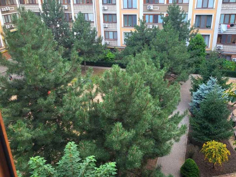 Квартира. Одеса, Добровольців вул. (Маршала Говорова)