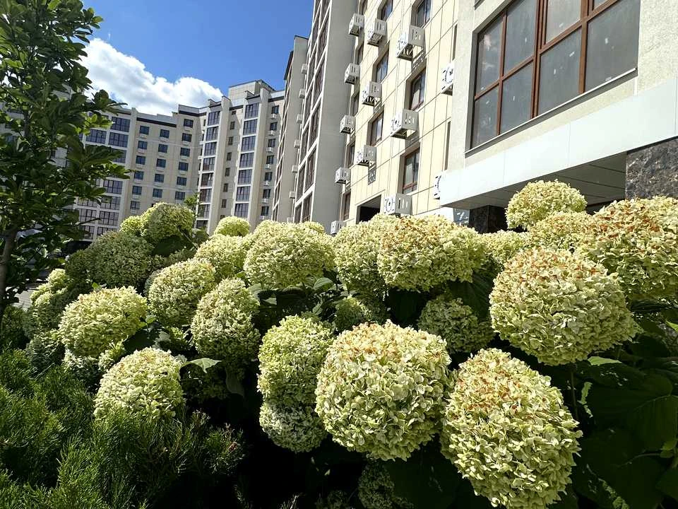 Квартира. Черкаси, Сумгаїтська вул., (Будинок)