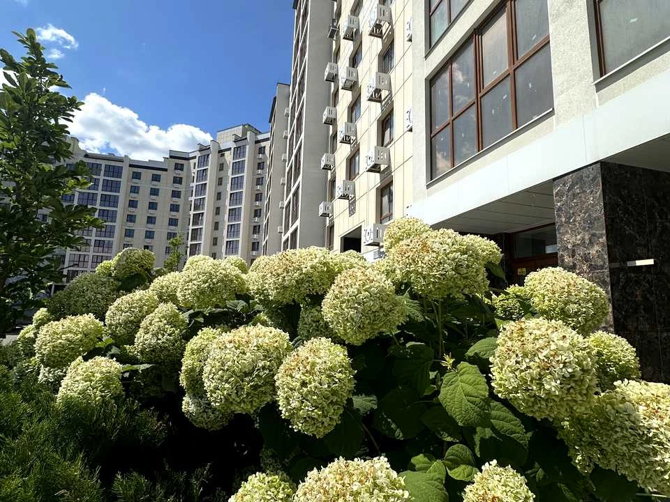 Квартира. Черкаси, Сумгаїтська вул., (Будинок)