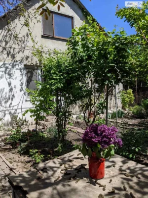 House for sale Chubayvka