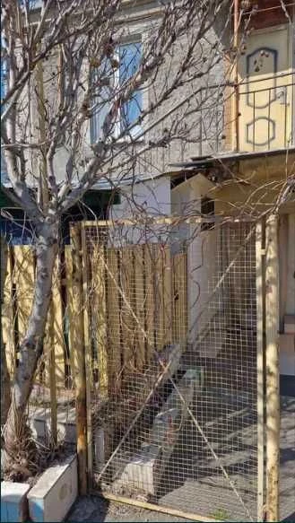 7. 2-комнатная квартира в центре с палисадником