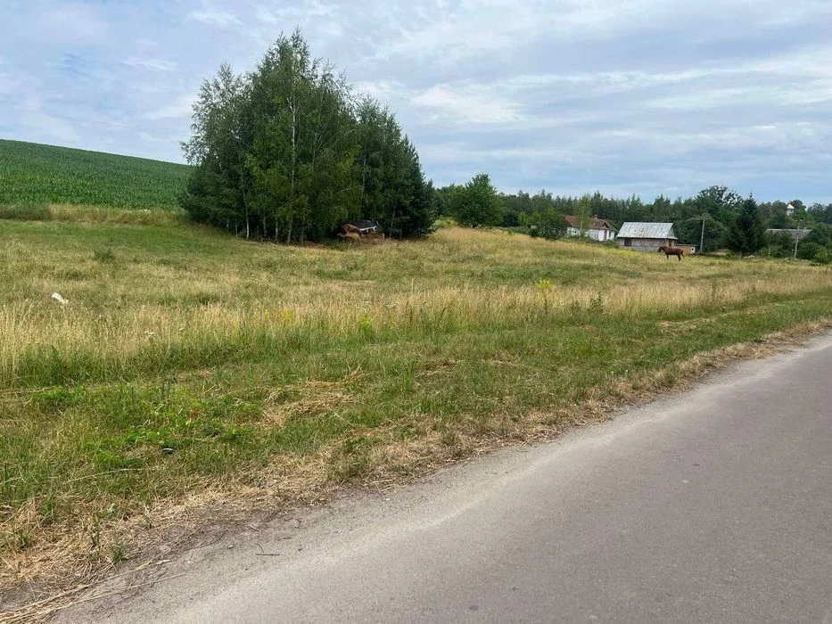Земельна ділянка с. Радиславка