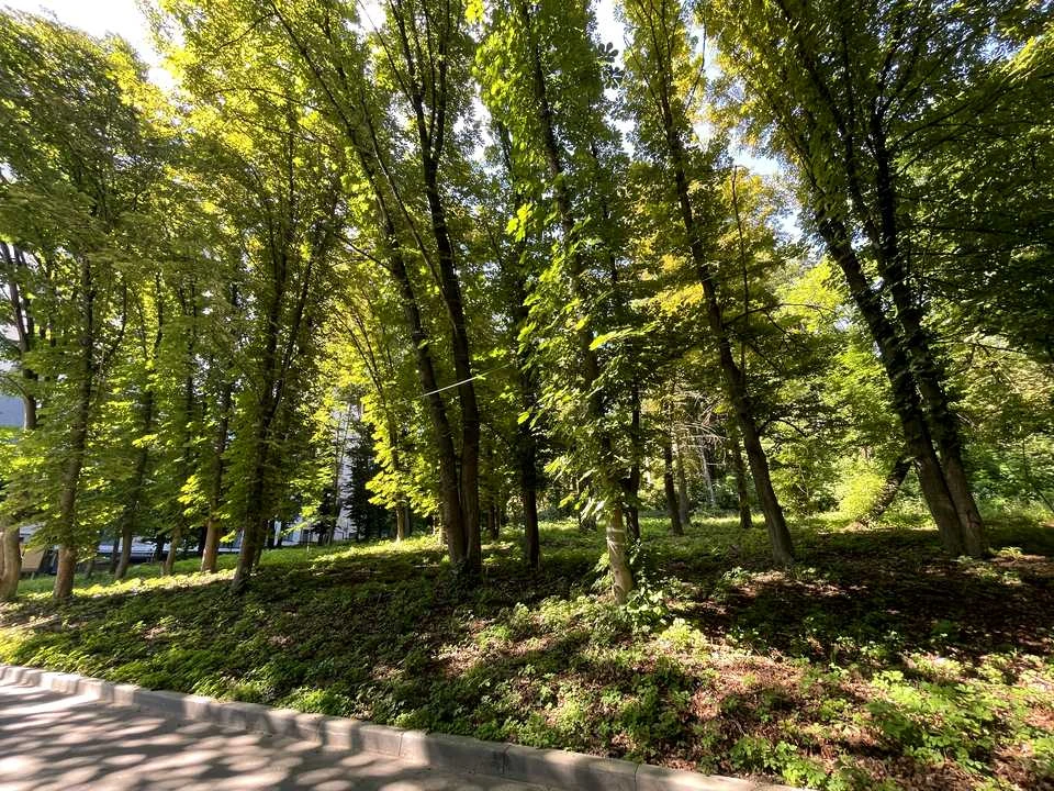 Квартира. Тернопіль, Чумацька вул.