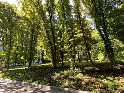 Квартира. Тернопіль, Чумацька вул.