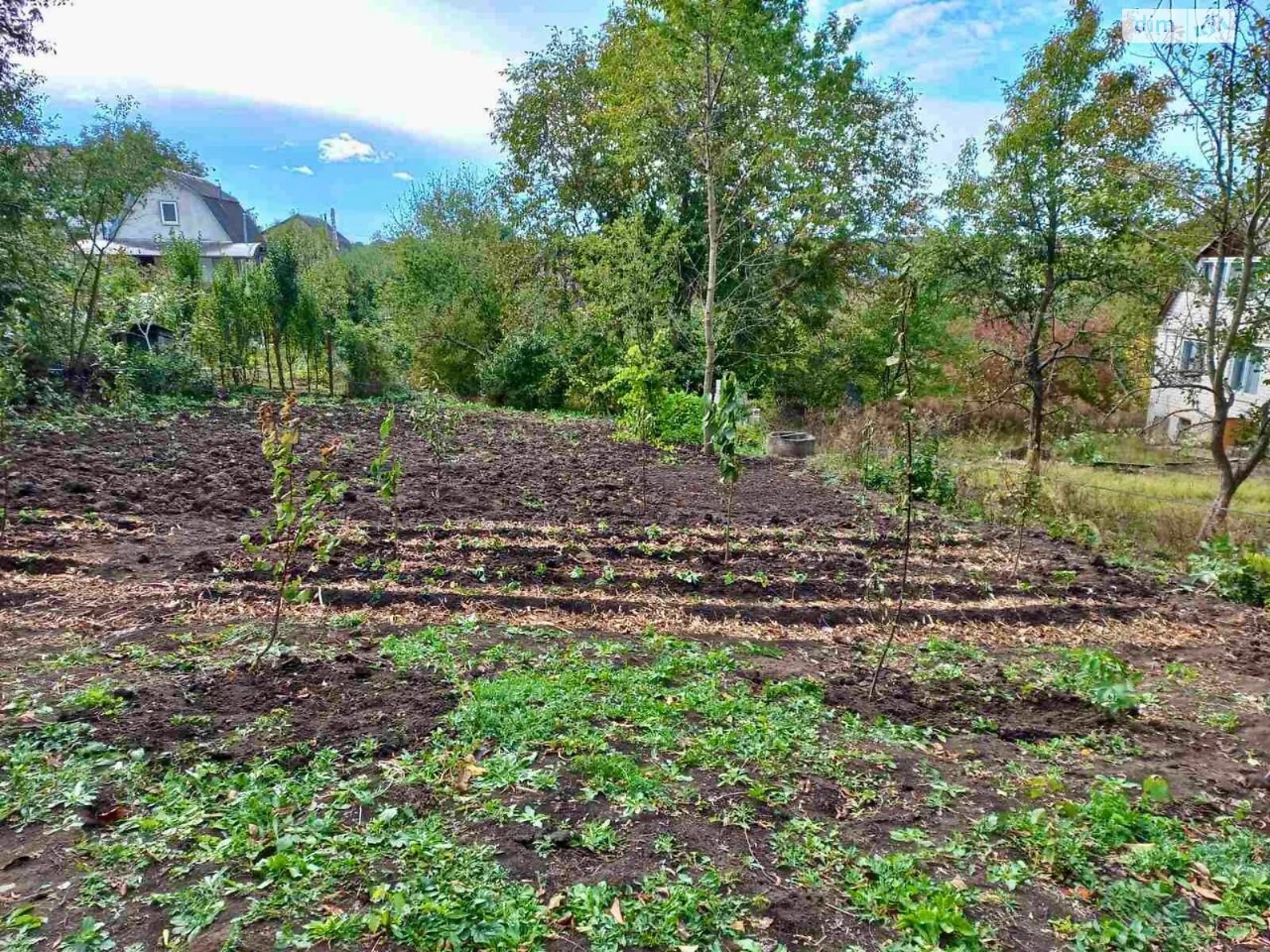 Продаж Земля сільськогосподарського призначення Ружична