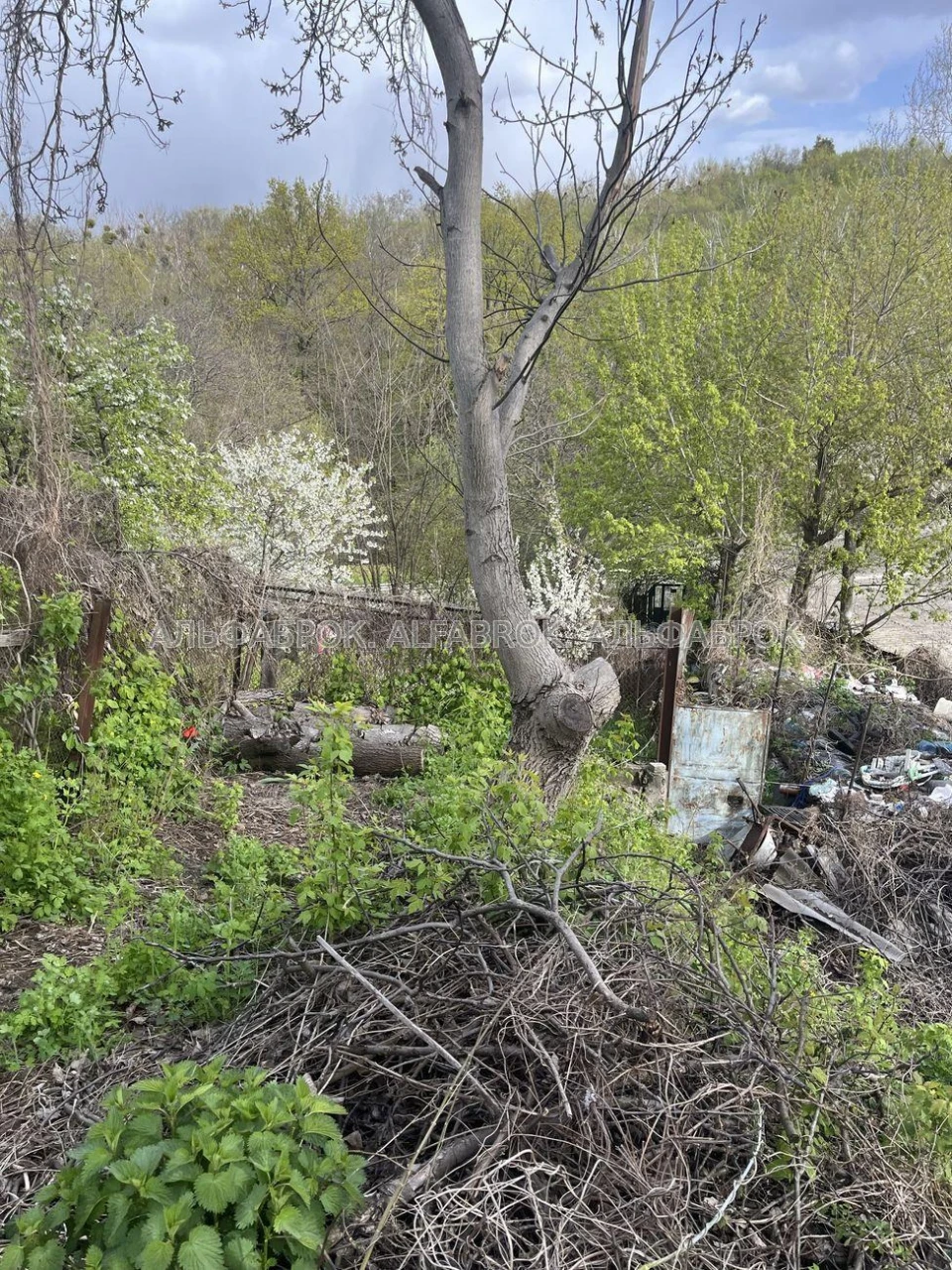 вул.Яблунева, Солом'янський район, орієнтир Совки