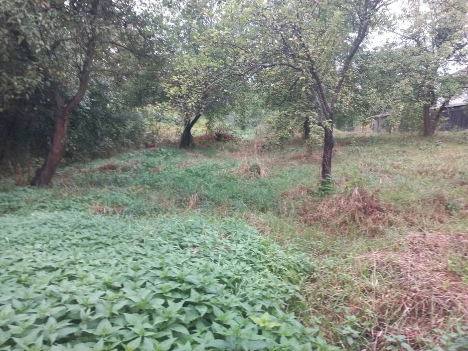 Продаж! Будинок  біля Івано- Франківська