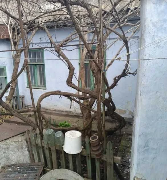 Продаж 1 поверхового будинку з верандою і ділянкою на 8 сото