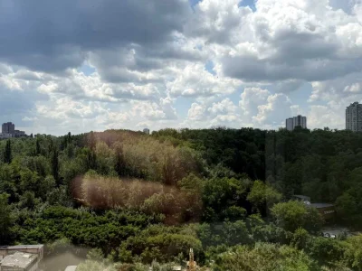 Квартира. Київ, Мокра вул. (Кудряшова)