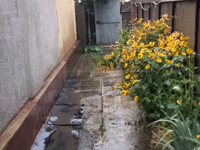 Будинок. Харків, Волинська вул.