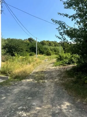 Продаж земельної ділянки в Ужгороді ( Червениця)