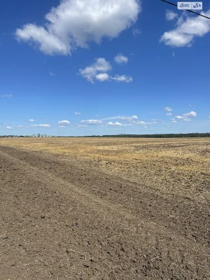 Продаж Ділянка під житлову забудову Тяжилів