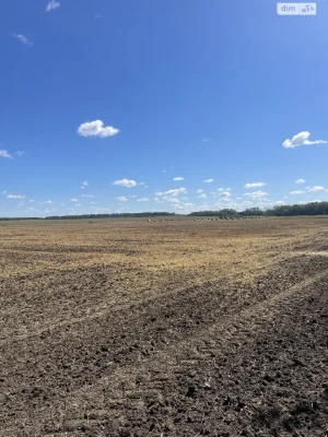 Продаж Ділянка під житлову забудову Тяжилів
