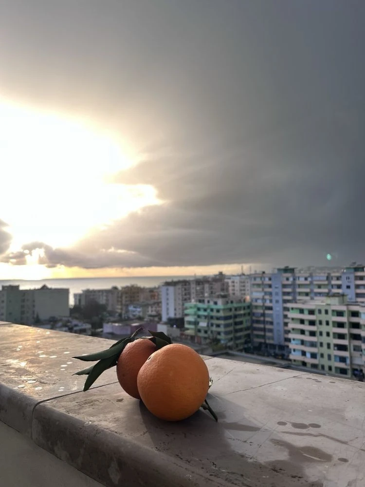 Сдам пентхаус в Албании, город Дуррес