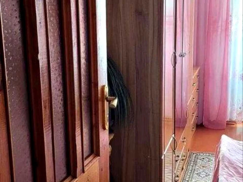 Квартира. Хмельницький, Степана Бандери вул.