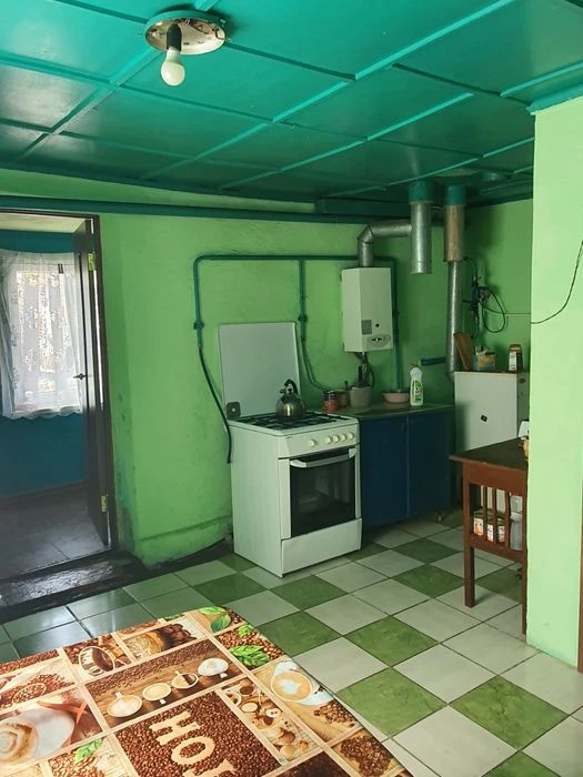 Продаж будинку 103 м², 10 соток, Бородинський