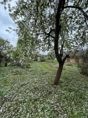 Продам ділянку Старе місто (8340)