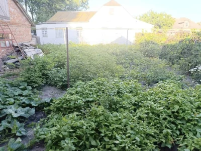 Продаж будинку р-н Тополянська, сарай, гараж, город