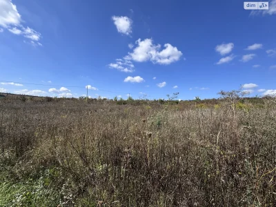 Продаж Земля сільськогосподарського призначення Гречани даль