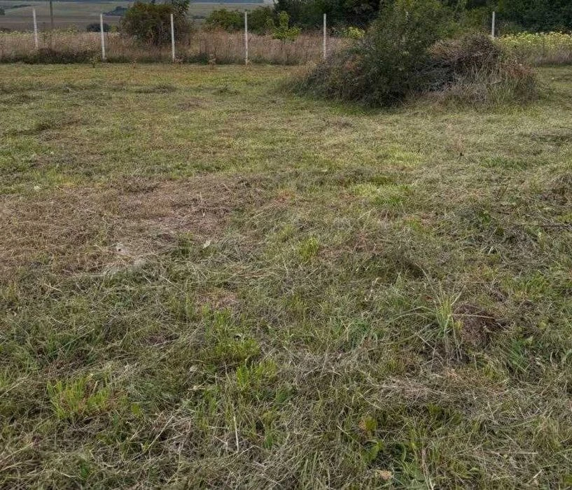 Продаж земельної ділянки Лєзніво SL