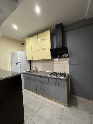 2-room apartment on Kontorskaya Center