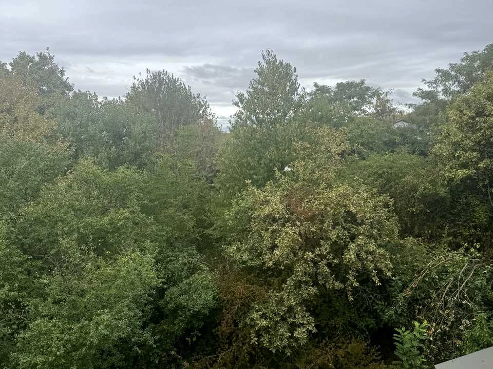 Будинок. Ужгород, Іршавська вул.