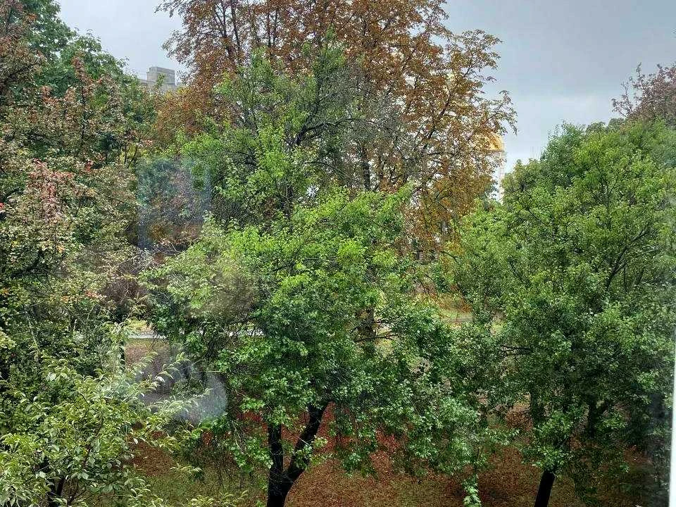 Квартира. Харків, Садовий проїзд