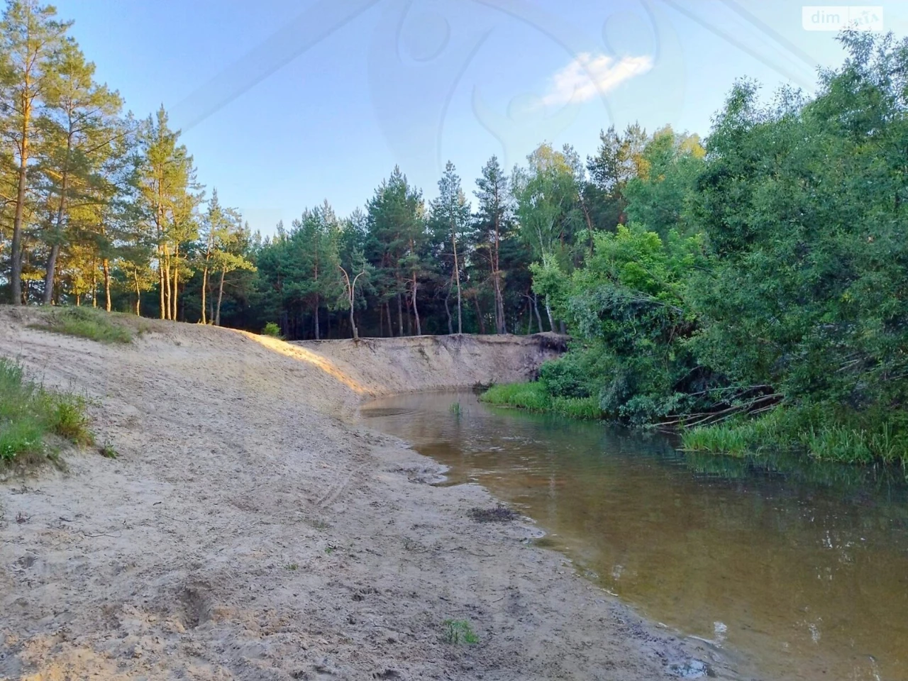 Продаж Дім Стара Подусівка