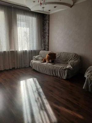 вул. Мала Житомирська, 18, дворівнева квартира, Власник