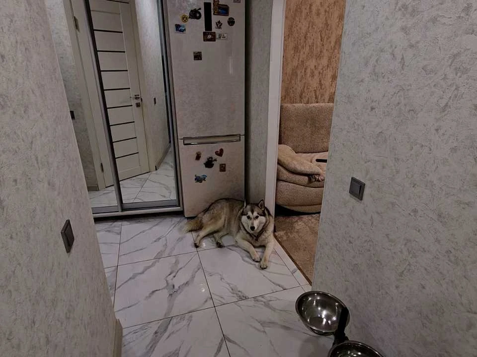 Квартира. Запоріжжя, Космічна вул.