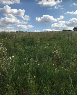 Продаж земельної ділянки під житлову забудову 10 соток Проня