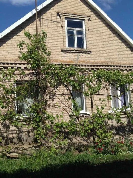 Продаж затишного будинку, Дніпровський район (22-442-401)