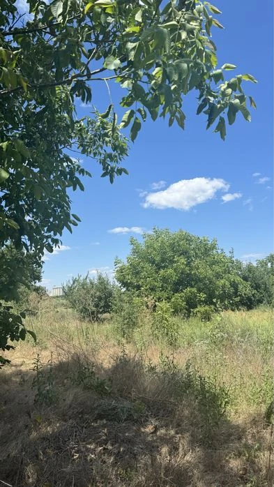 Свой участок 6 соток