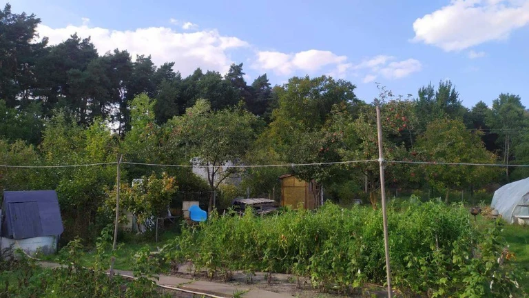 Продам земельну ділянку в найкращому місці біля лісу с.Нова